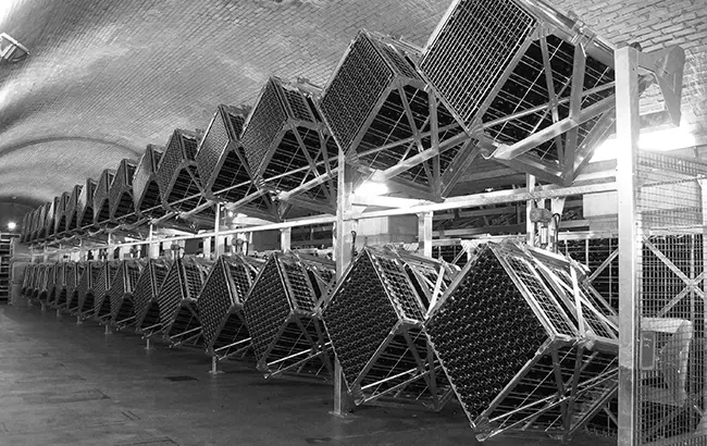 Bottle-Riddling-Cage Bottle-Riddling-Cage