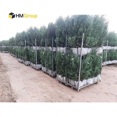 Plant Nursery Trolleys